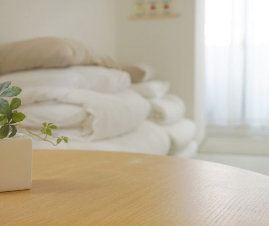 DoMoJ和式雙人房14